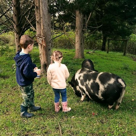 Villa Fernhill Guest Farm à Knysna Extérieur photo
