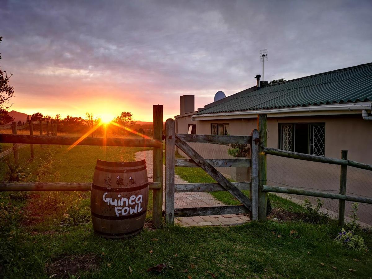 Villa Fernhill Guest Farm à Knysna Extérieur photo