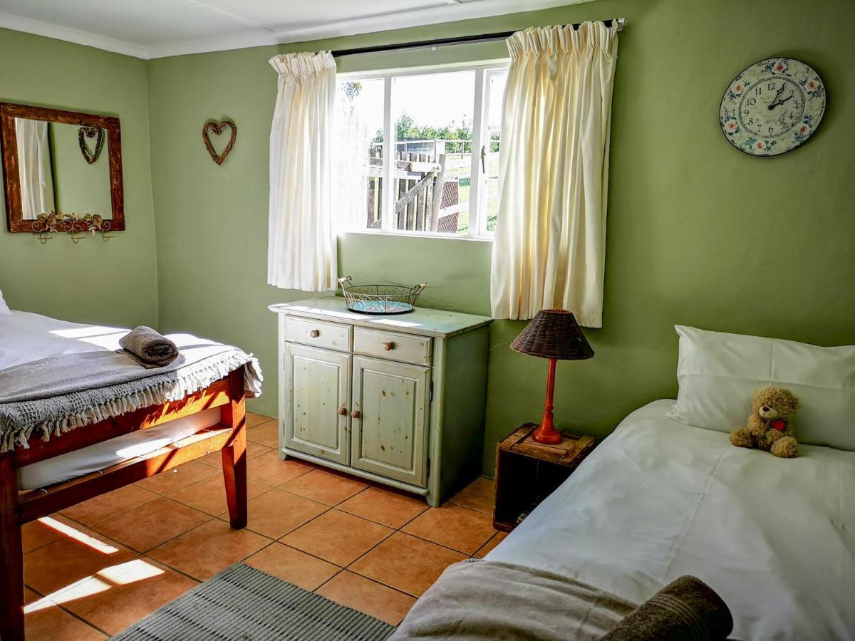 Villa Fernhill Guest Farm à Knysna Extérieur photo