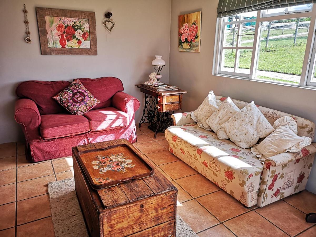 Villa Fernhill Guest Farm à Knysna Extérieur photo