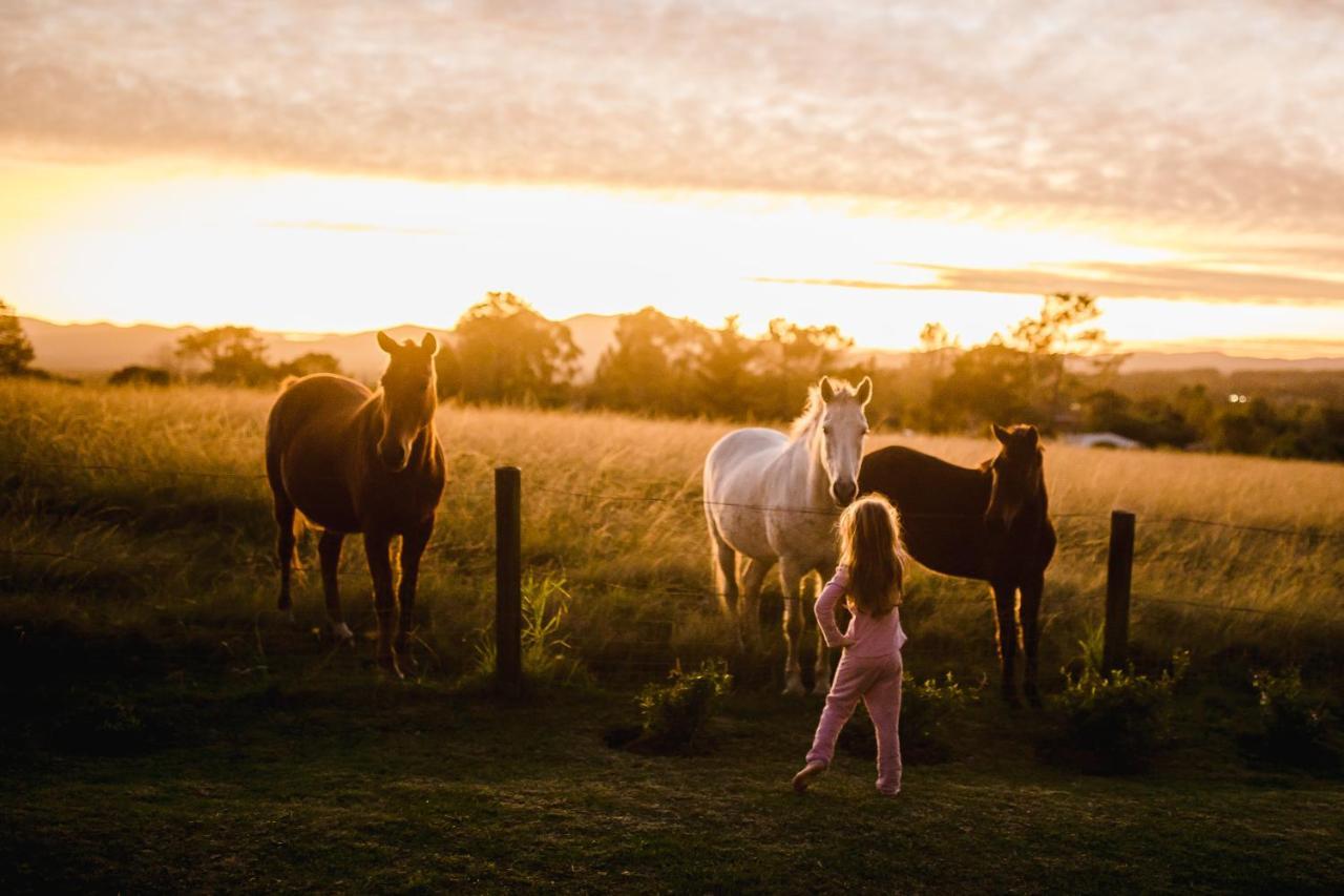Villa Fernhill Guest Farm à Knysna Extérieur photo