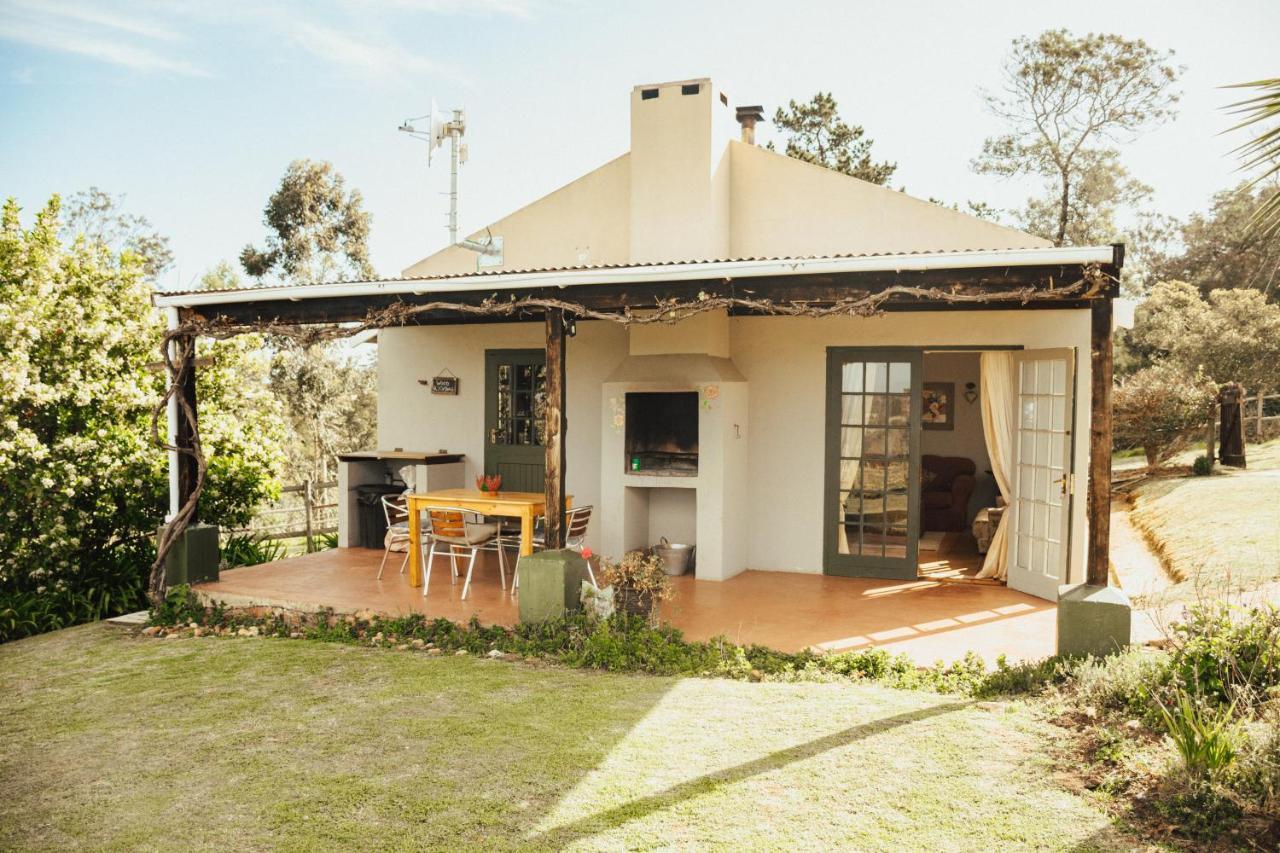 Villa Fernhill Guest Farm à Knysna Extérieur photo