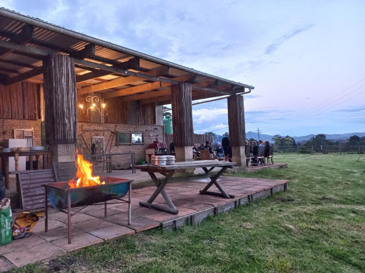 Villa Fernhill Guest Farm à Knysna Extérieur photo