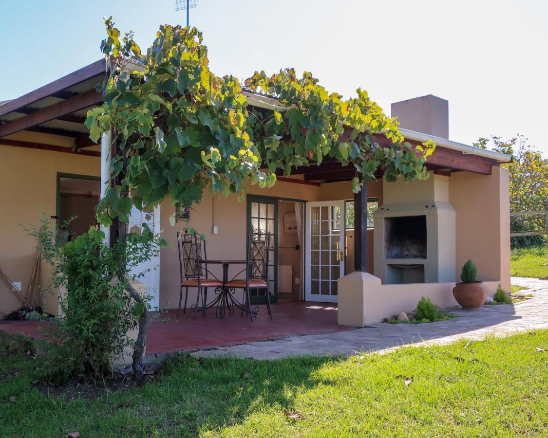 Villa Fernhill Guest Farm à Knysna Extérieur photo