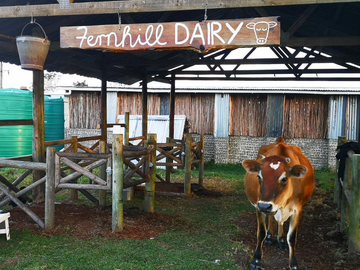 Villa Fernhill Guest Farm à Knysna Extérieur photo