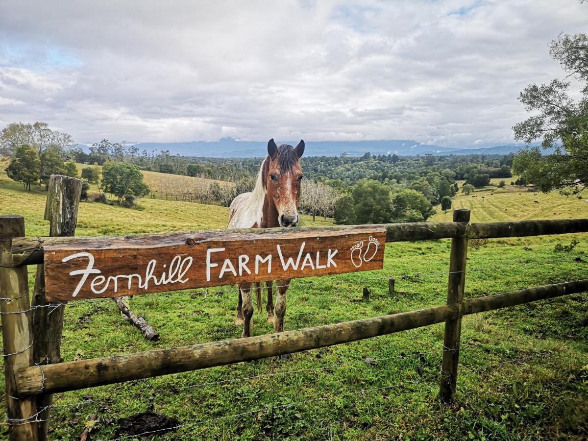 Villa Fernhill Guest Farm à Knysna Extérieur photo