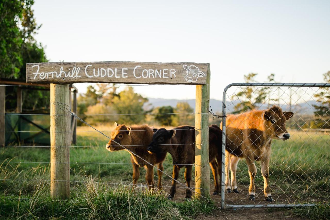 Villa Fernhill Guest Farm à Knysna Extérieur photo