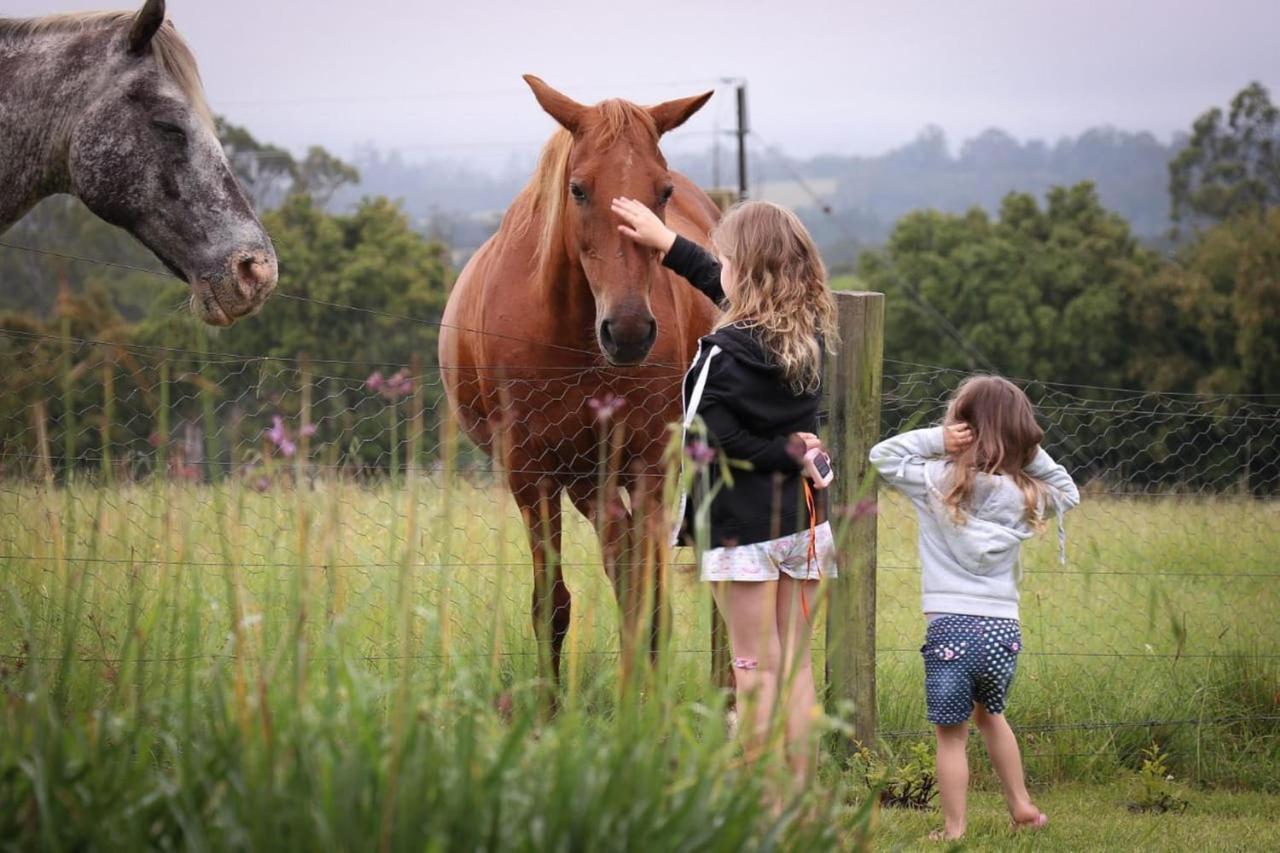 Villa Fernhill Guest Farm à Knysna Extérieur photo