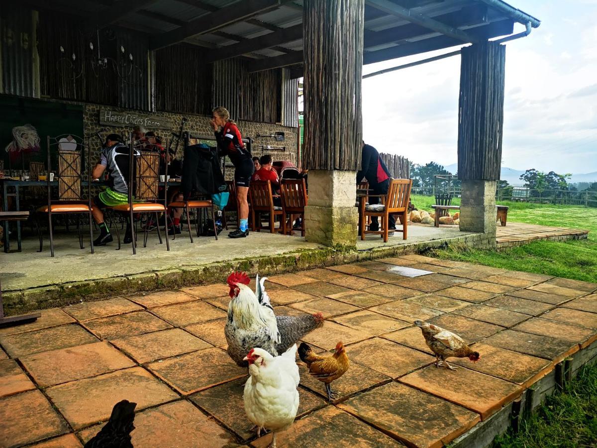 Villa Fernhill Guest Farm à Knysna Extérieur photo